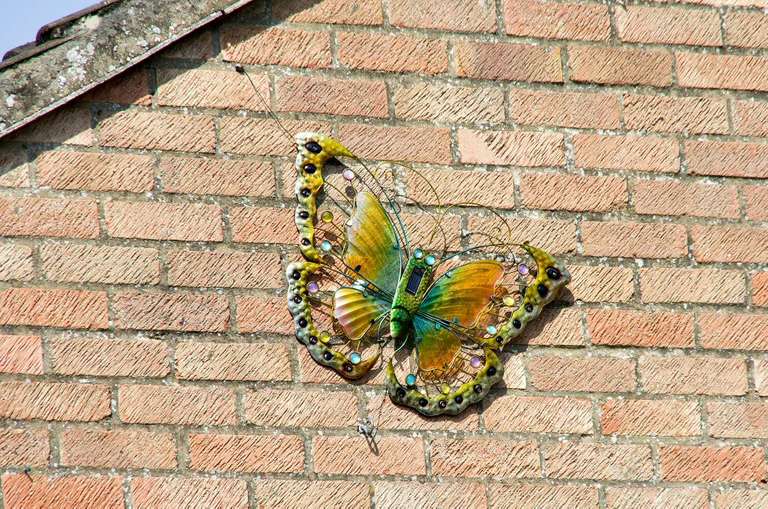 ornamental butterfly