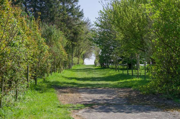 country path