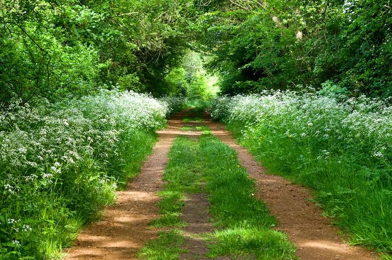 country path